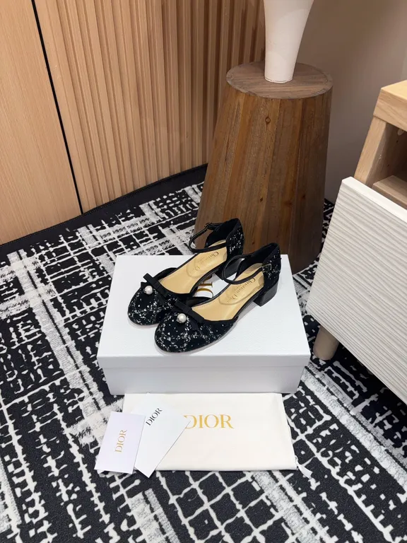 Dior Shoe 